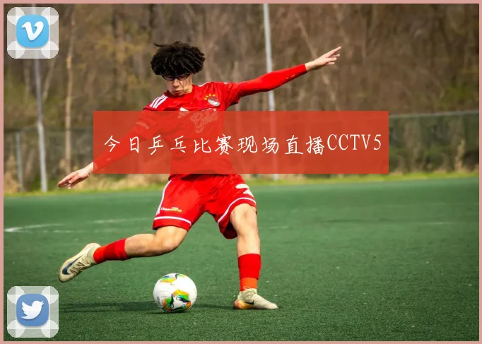 今日乒乓比赛现场直播CCTV5