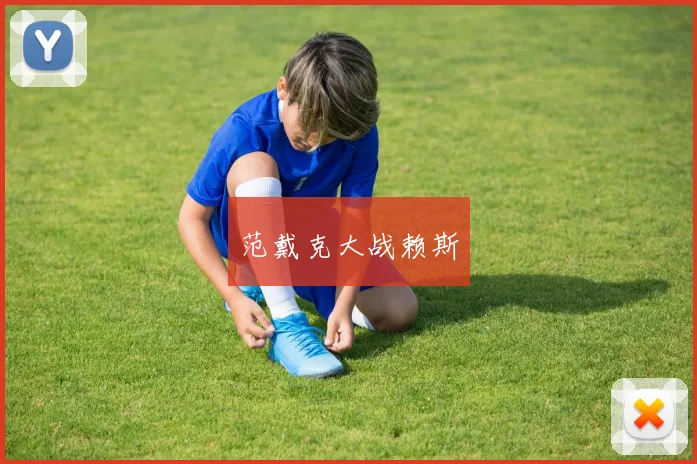 范戴克大战赖斯
