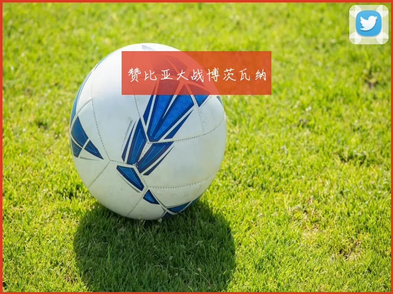 赞比亚大战博茨瓦纳