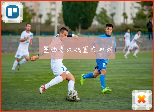墨西哥大战塞内加尔