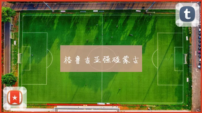 格鲁吉亚强碰蒙古