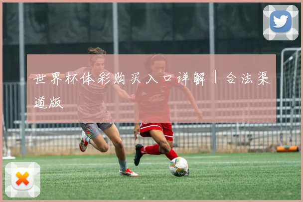 世界杯体彩购买入口详解｜合法渠道版