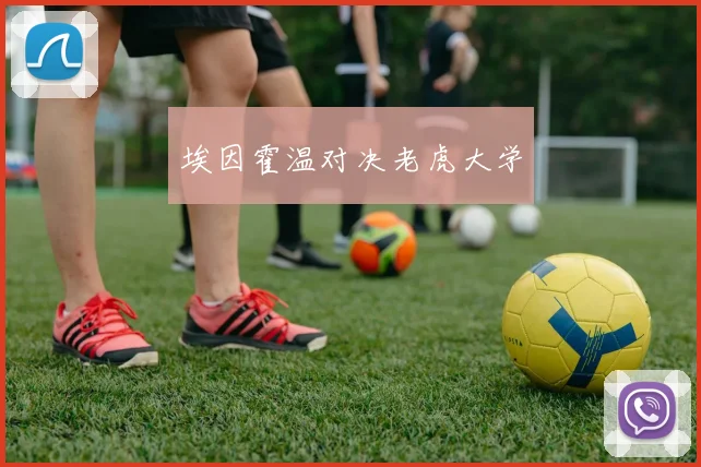 埃因霍温对决老虎大学