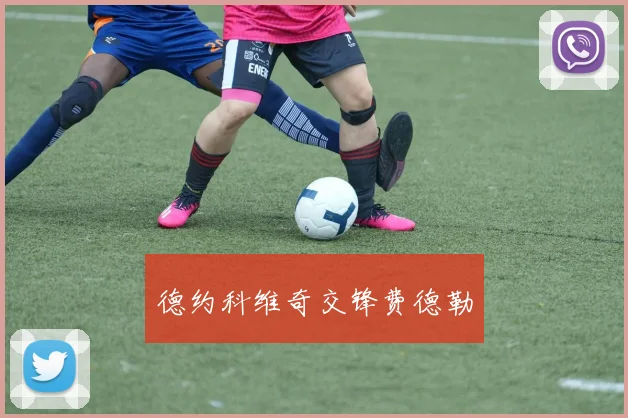 德约科维奇交锋费德勒