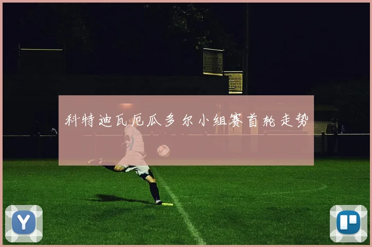 科特迪瓦厄瓜多尔小组赛首轮走势