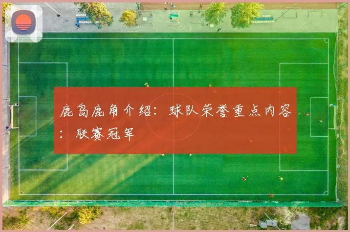 鹿岛鹿角介绍:球队荣誉重点内容:联赛冠军