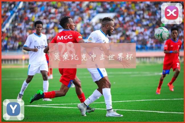莫桑比克冲击世界杯