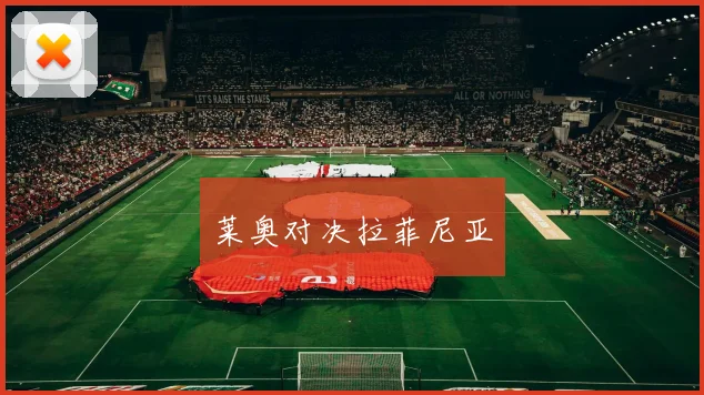 莱奥对决拉菲尼亚