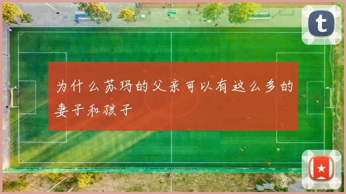 为什么苏玛的父亲可以有这么多的妻子和孩子