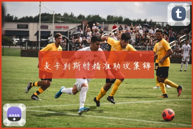 麦卡利斯特精准助攻集锦