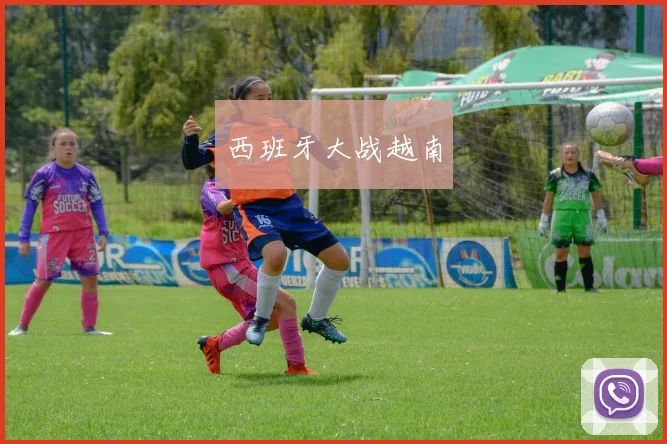 西班牙大战越南