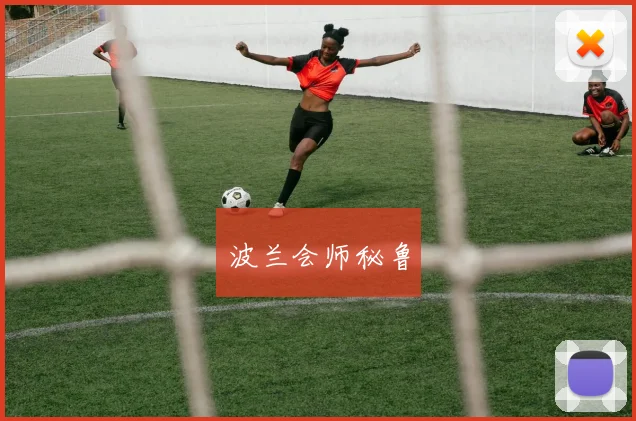 波兰会师秘鲁
