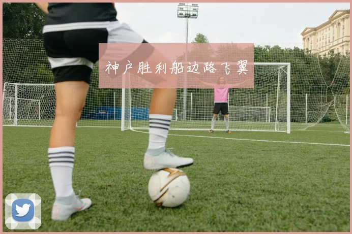 神户胜利船边路飞翼