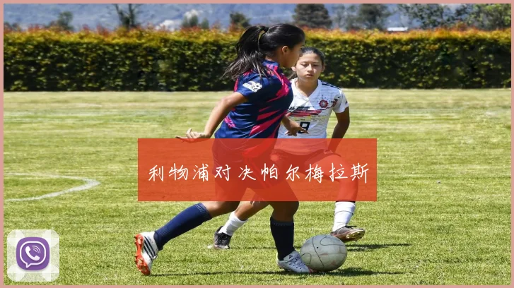 利物浦对决帕尔梅拉斯