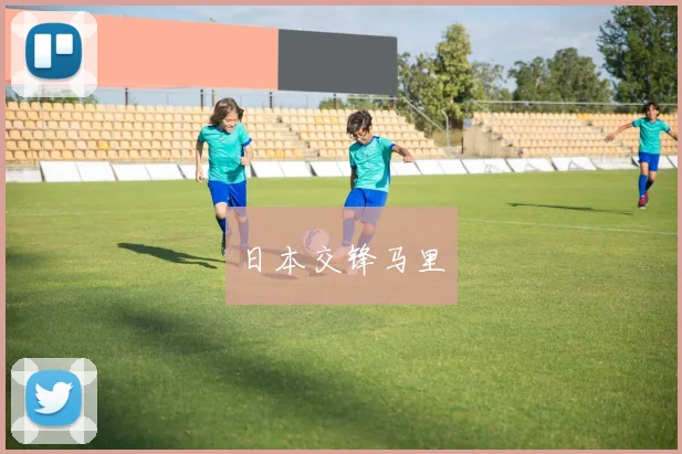 日本交锋马里