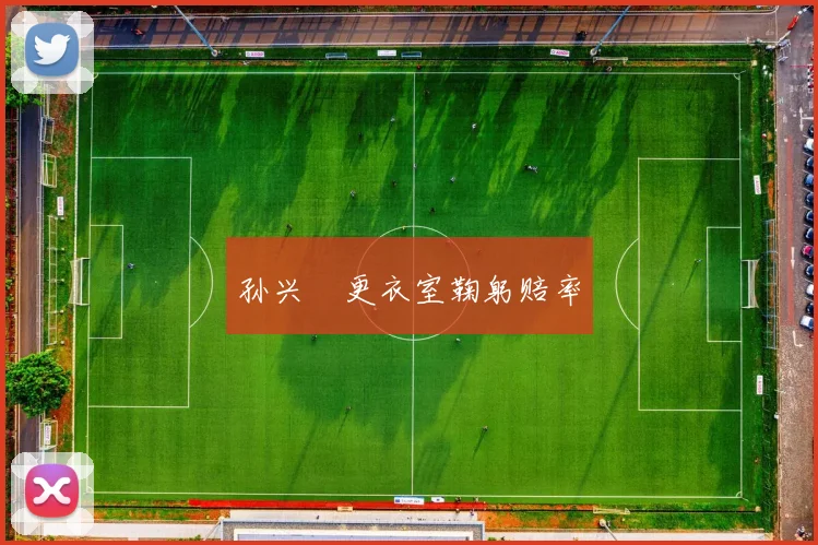 孙兴慜更衣室鞠躬赔率