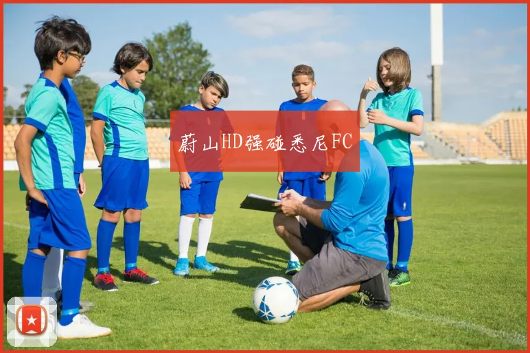蔚山HD强碰悉尼FC