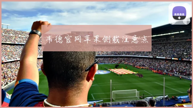 韦德官网苹果侧载注意点