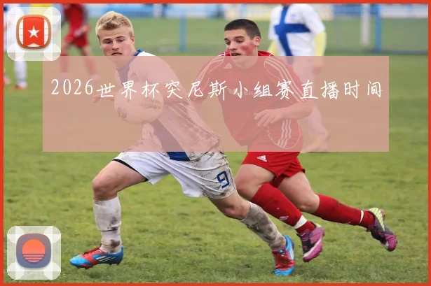 2026世界杯突尼斯小组赛直播时间