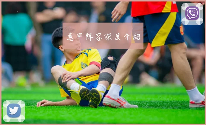 意甲阵容深度介绍